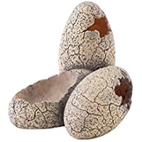 Exo Terra Refugio Fósil Huevos de Dinosaurio